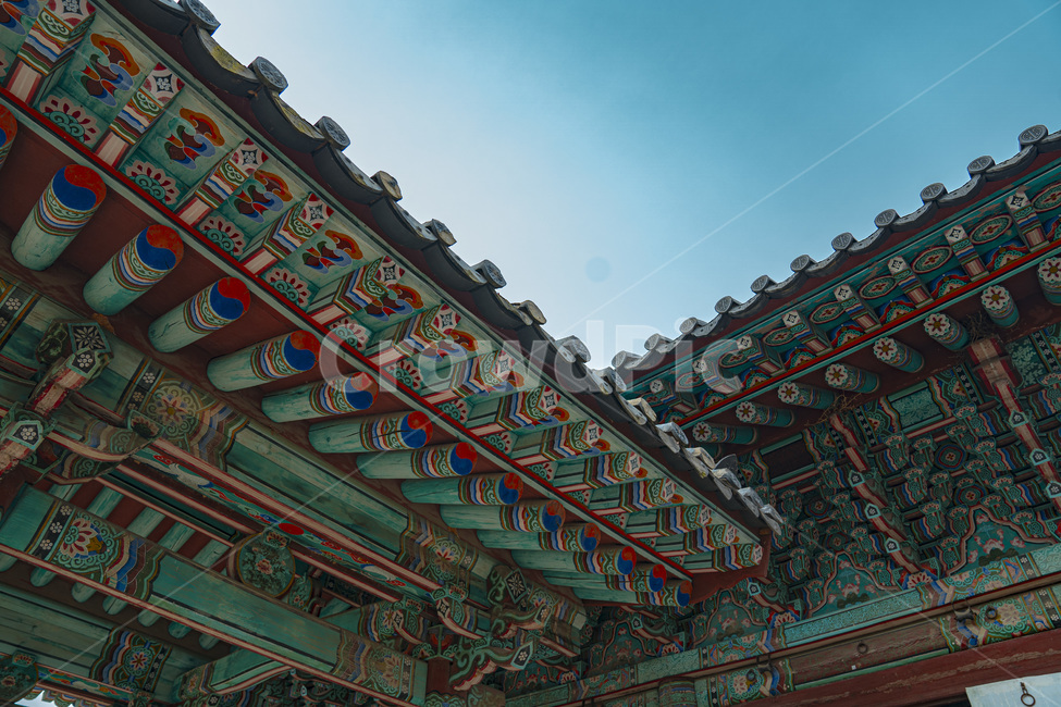 경기전,한옥,전주,한옥마을,한국적인,한국의미,동양적인,동양의색,옥색,building,건물,신사,temple,탑,건축물,architecture,한국전통,한국문화,korean traditional,korean culture,건축물,건물외관,exterior,building,structure,architecture,construction