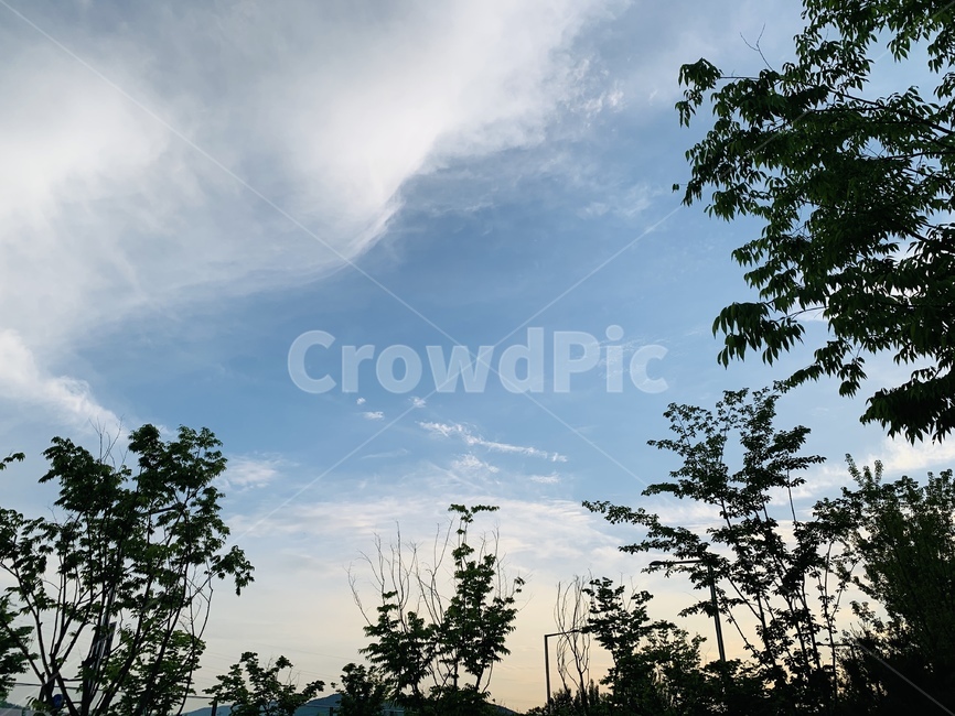 나무,노을,하늘,구름,sky