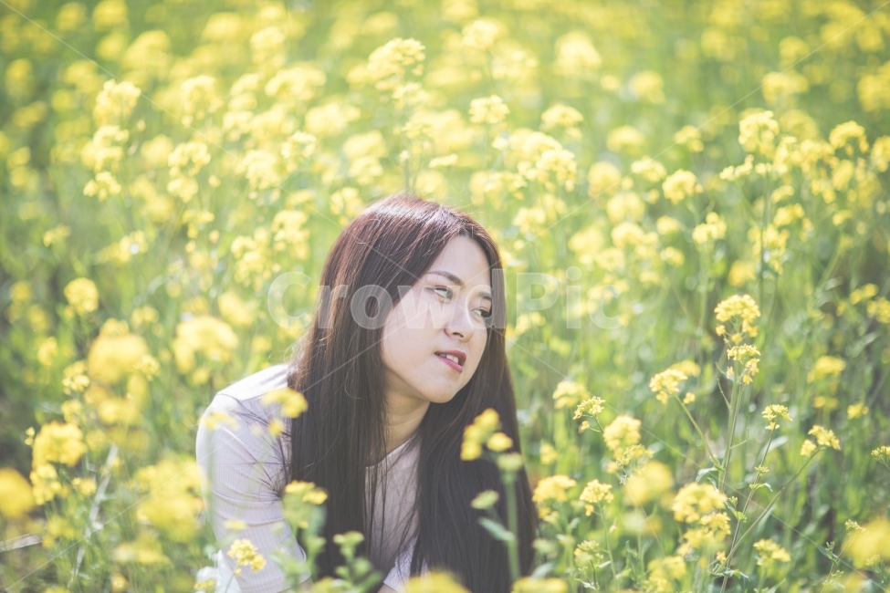 유채꽃,꽃,여자,사람,인물,풍경,노랑,flower,girl,human,portrait,landcape,yellow,자연,nature,사람,인물,인간,human,person,얼굴표정,facial expression,face,여성,여자,woman,female,lady,감성,sensible,feeling
