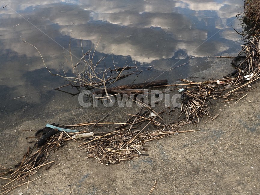 ground,바닥,nature,자연,outdoors,옥외,land,나라,water,물,강,감성사진,나뭇가지