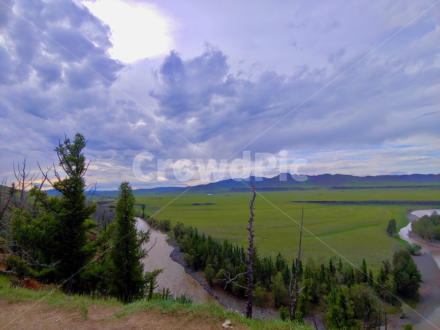 tree,나무,plant,nature,자연,시골,마을,풍경,landscape,country,rural,town