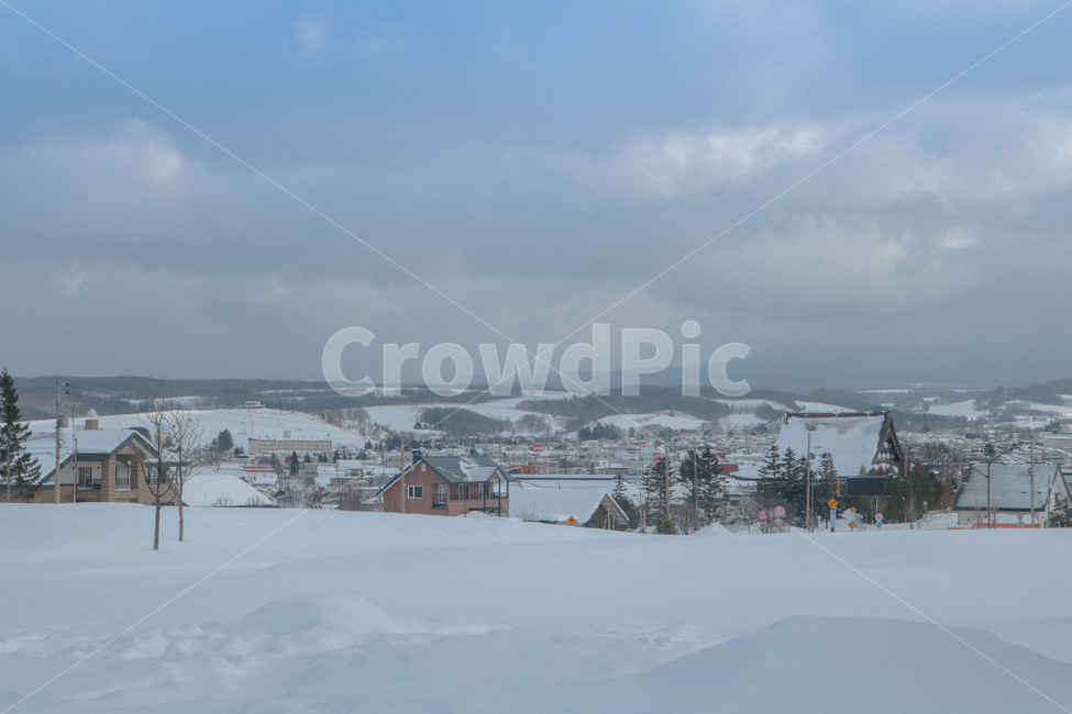 비에이,삿포로,겨울,계절,자연풍경,나무,첫눈,눈,감성,풍경,일본,자연,폭설,눈보라,훗카이도,biei,겨울,계절,winter,season,자연,풍경,nature,landscape