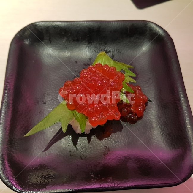 연어초밥,연어,연어알,성게알,알초밥,초밥알,음식,식재료,요리,food,cook,meal,dishes,food reserves