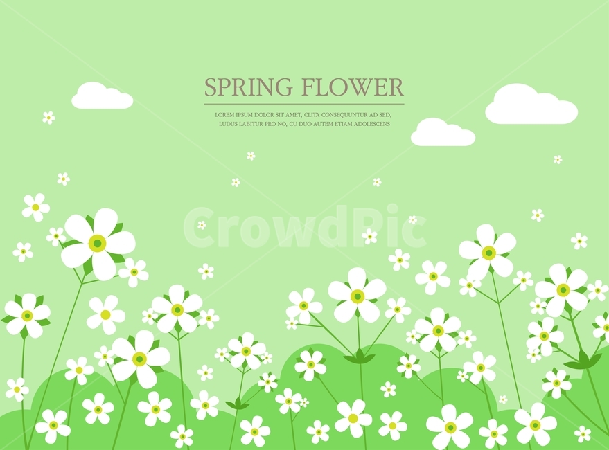꽃,꽃밭,흰꽃,봄,일러스트,배경,봄,계절,spring,season,꽃,flower,그래픽,일러스트레이션,graphic,illustration,art,미술,floral design,플로랄 디자인,pattern,무늬