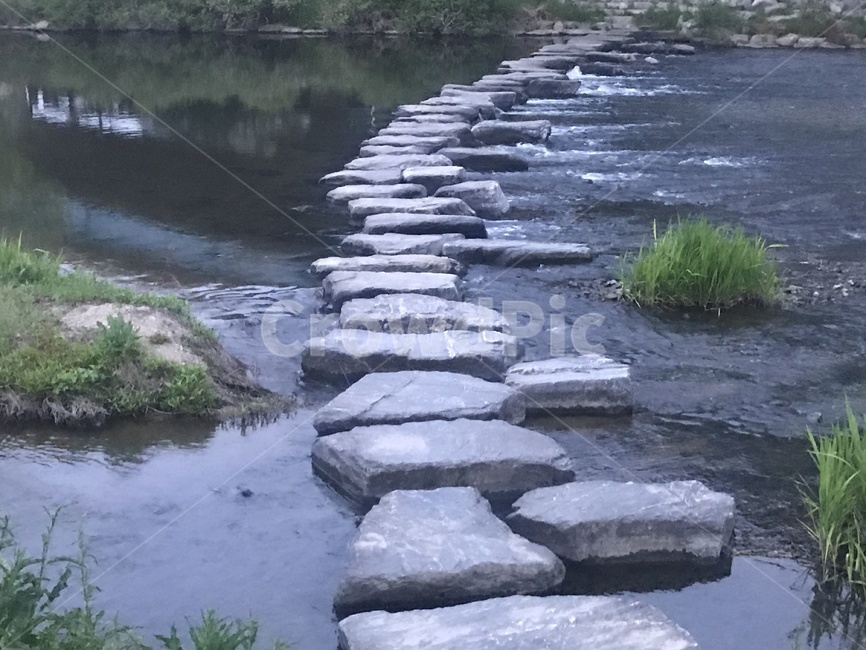 탄천,강,돌다리,자연,배경