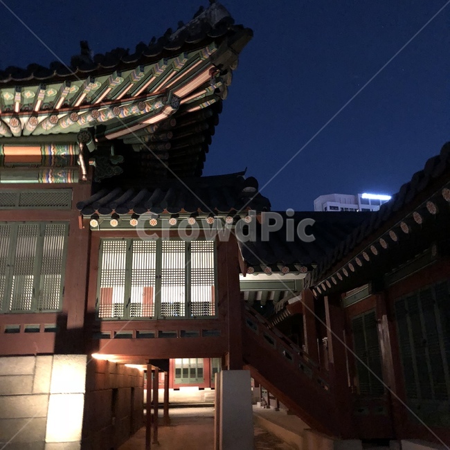 한옥,덕수궁,건축물,한국,하늘