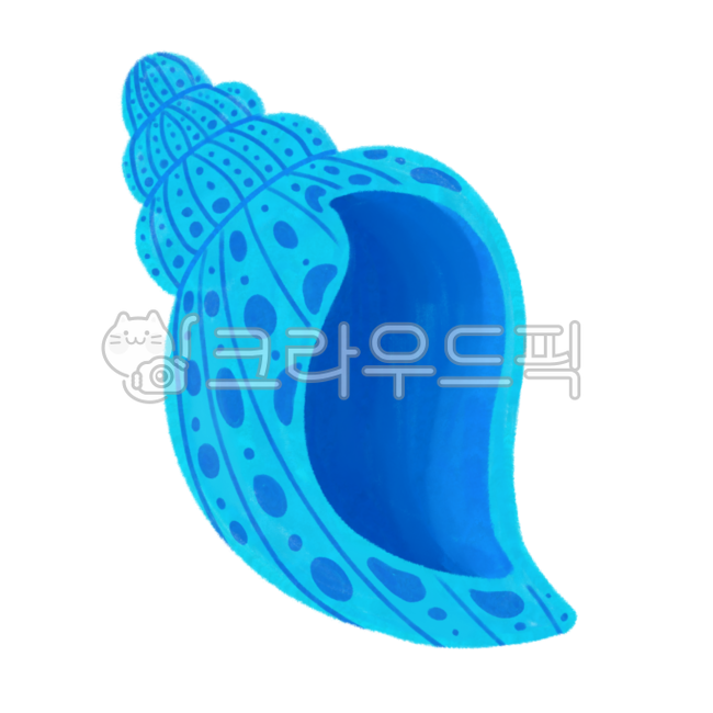 conch,sealife,seashell,Biology,summer,coral,environment day,invertebrate,aquatic plants,world ocean day,husks,marine life,nature,sea day,water,shellfish,ocean,various,underwater,animal,sea creatures,clam,invertebrates