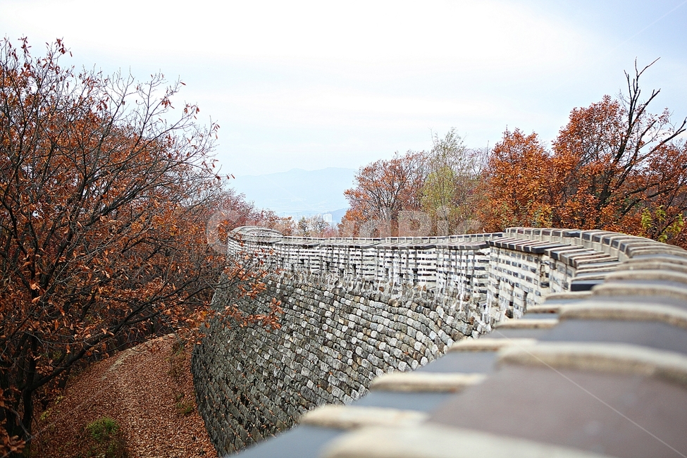 남한산성,성,성곽,단풍,낙엽,길,둘레길,숲,숲길,담,돌담,가을,자연,풍경,벽,울긋불긋,산성,식물,가을,계절,fall,autumn,season,한국전통,한국문화,korean traditional,korean culture,leaf,잎,plant