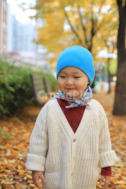 남자아이,가을,단풍,남자옷,가을남자,clothing,의류,의복,apparel,가을,계절,fall,autumn,season,사람,인물,인간,human,person,영유아,아기,애기,아이,infants,baby