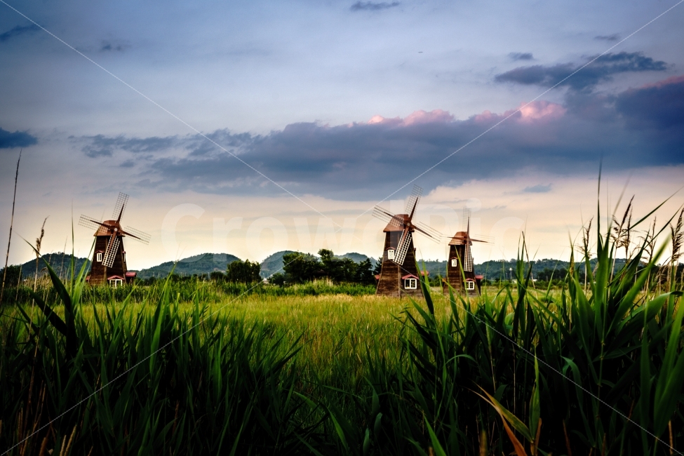 풍경,풍차,노을,일몰,LandScape,sony,a7m2,windmill,해질무렵,소래습지공원,자연,풍경,nature,landscape,한국자연풍경,한국자연경관,korea nature landscape,시골,마을,country,rural,town,machine,기계,engine,엔진,motor,모터