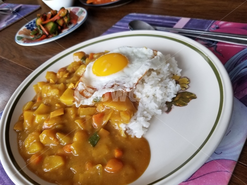 밥,카레,계란,집밥,접시,한식