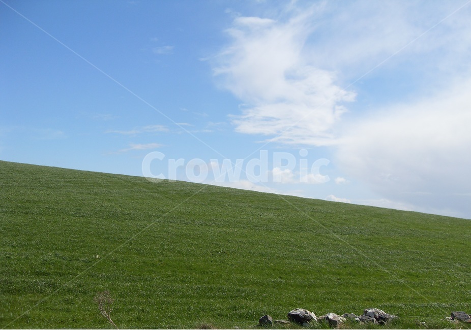 초원,목장,영국,스코틀랜드,스트란라,잔디밭,경사,포근함,자연,풍경,nature,landscape,해외,외국,세계,foreign,oversea,world,세계자연풍경,해외자연풍경,외국자연풍경,world nature landscape,field,들,grassland,목초지,outdoors,옥외,rural,농촌,farm,농장