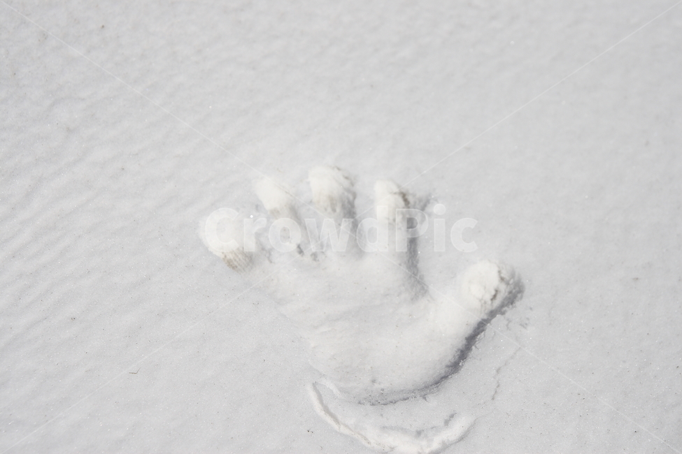 손,손바닥,눈,snow,hand,손가락,겨울,계절,winter,season