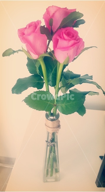 장미,꽃병,말린꽃,꽃,꽃장식,장식,flower,핑크꽃,분홍꽃,여유,시간,장식품