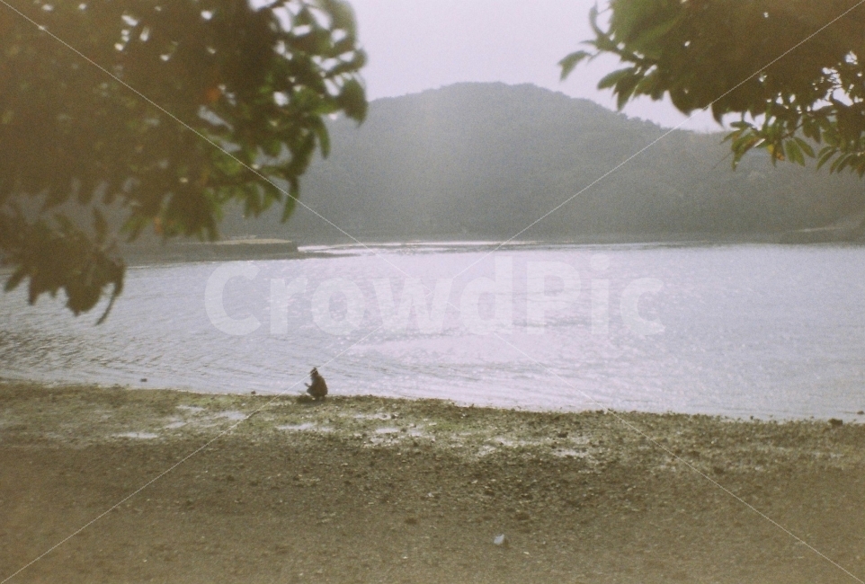 통영,바다,햇빛,해변,sunshine,장성카메라,필름카메라,35mm,greatwall,pf1,자연,풍경,nature,landscape,해변,바다,beach,sea,사람,인물,인간,human,person,감성,sensible,feeling,outdoors,옥외,land,땅