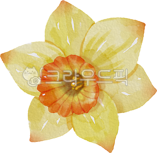 birthday,Decorating a diary,March,Tattoo,flower design,daffodil,flower painting,birth flower,arbor day,tattoo design,floral design,flower,Dakku,watercolor,painting,flower illustration,plant illustration,plant,Watercolor