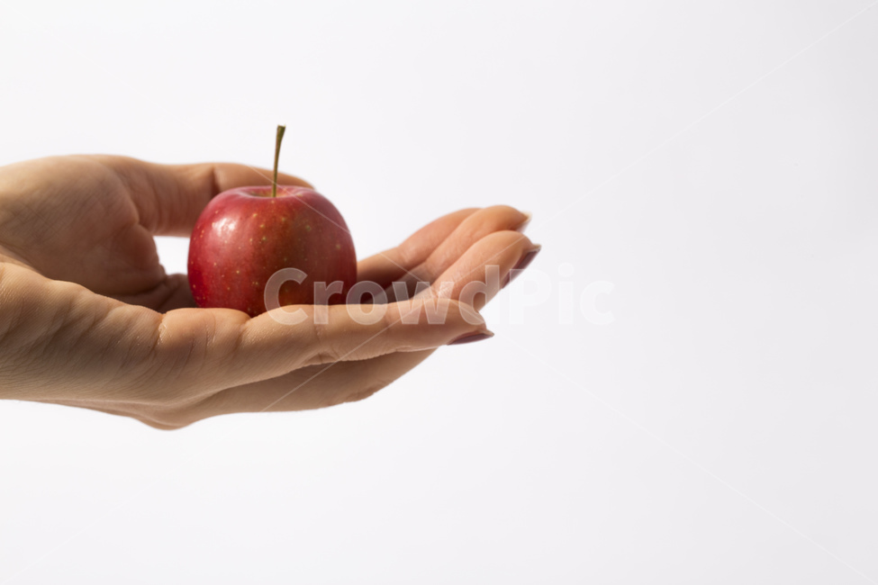 손,손가락,사과,과일,열매,꽃사과,빨간색,비타민,미니사과,사람,인물,인간,human,person,신체일부,몸,body