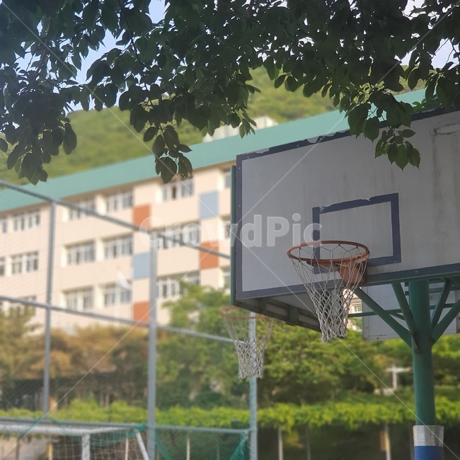 봄,여름,감성,중학교,운동장,농구골대,school,spring,스포츠,레저,운동,sports,leisure,exercise