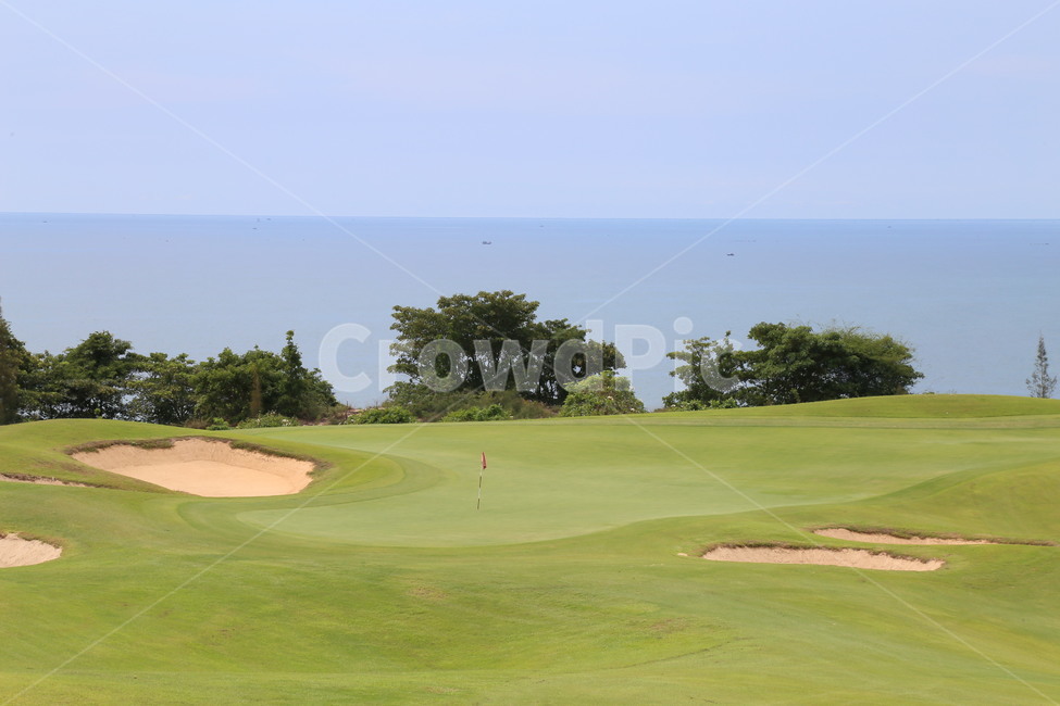 field,들,골프장,골프코스,골프,그린,golf,golfcourse,green,outdoors,nature,자연