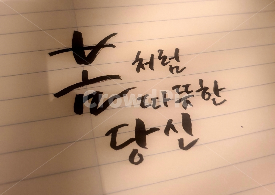 handwriting,calligraphy,달필,봄,당신,you,spring,note,노트,캘리,캘리그래피,붓,붓글씨,text,캘리그라피,손글씨,calligraphy