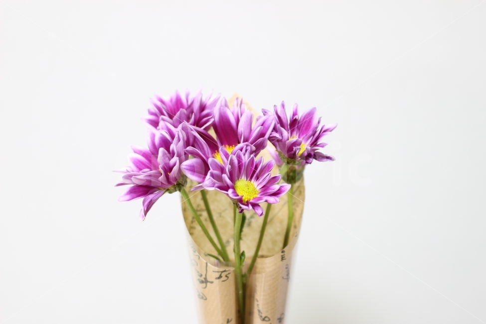 꽃,꽃다발,보라,flower,생화,식물,자연,plants,nature,꽃,flower