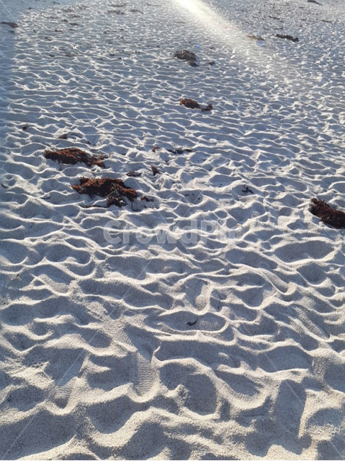 모래사장,모래,해변,여름,백사장,sandybeach,여름해변,모래벌판,해수욕장,summer,해안가