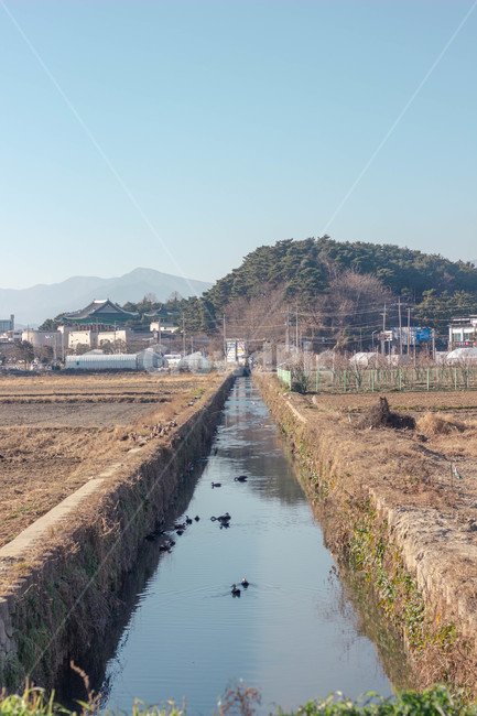 도랑,ditch,강원도,시골,산,저수지,밭,논,겨울,강릉,감성,한적한,moody