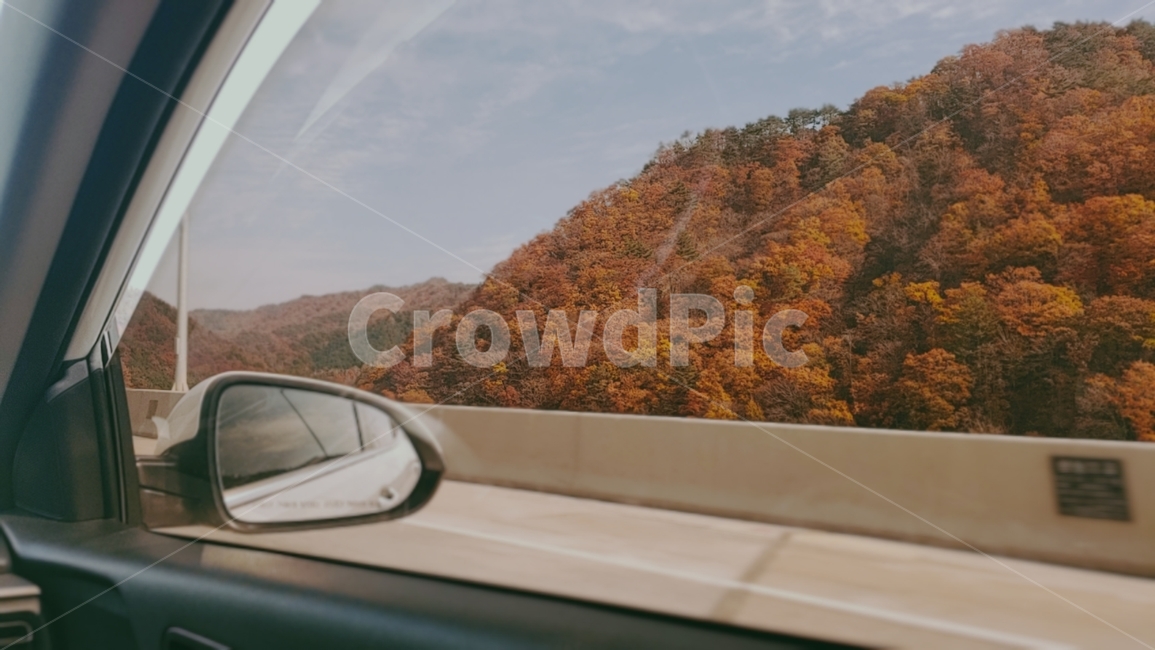 가을,자동차,배경,드라이브,산책,마실,햇살,가을,계절,fall,autumn,season,교통,교통수단,traffic,transportation