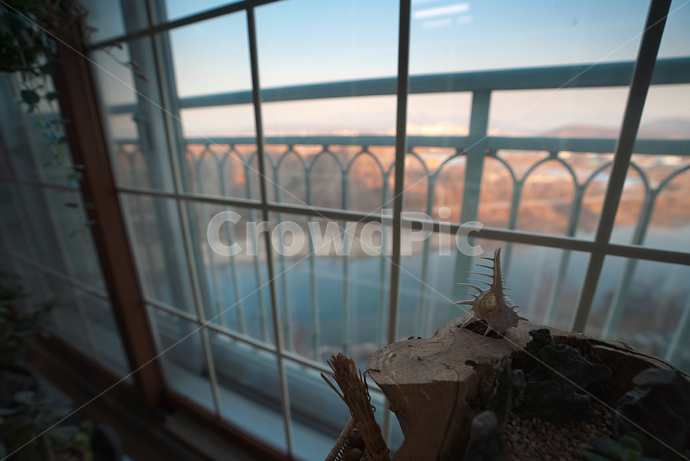 창,윈도우,창가,window,식물,화분,생명,난간,handrail