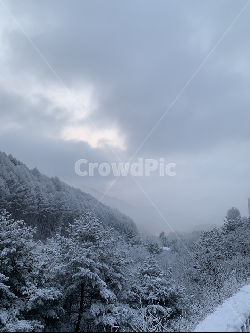 겨울,눈,풍경,자연,스키장,겨울,계절,winter,season