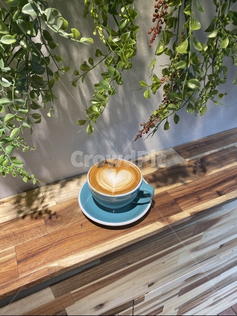 wood,나무,coffee,cafe,cafelatte,latteart,relax,여유,휴식,휴식공간,커피,카페,식물,커피잔,커피,카페,coffee,cafe