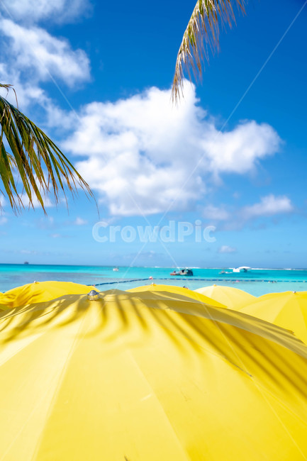 summer,여름,tropical,nature,자연,outdoors,land,물,water,해안선,shoreline,ocean,대양,sea,바다,coast,연안,파라솔,parasol,beach,바닷가,야자수,여름,계절,summer,season