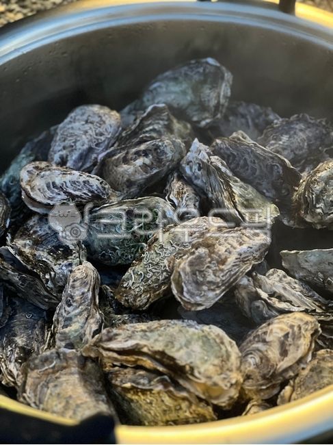 굴,음식,겨울음식,winterfood,food