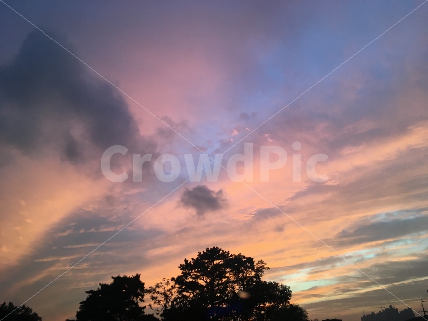 풍경,하늘,퇴근,오후,저녁,레인보우,분홍,나무,Sky,Afternoon,Pink,Rainbow,Tree,자연,풍경,nature,landscape,식물,plants,나무,trees,wood,실루엣,그림자,silhouette,shadow,색깔,색상,색채,색감,color sense,color sensitivity,feeling of color