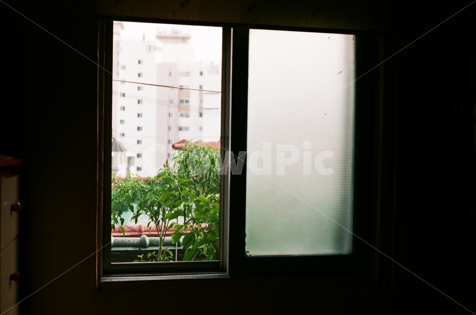 창문,식물,하늘,건물,옥상,window,감성,sensible,feeling,인테리어,실내디자인,interior design