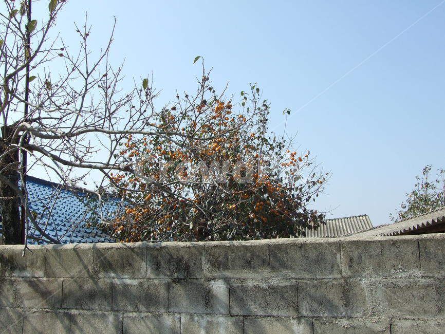 시골풍경,블럭벽,담,시골,고향,건축물,건물외관,exterior,building,structure,architecture,construction