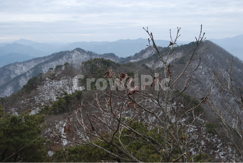 동악산,형제봉,배넘어재,곡성군,등산로,능선,치유,여행,돌,산행,힐링,자연,동행,등산,계절,한국,한국명산,한국등산,풍경,나무,하늘,겨울,계절,winter,season,자연,풍경,nature,landscape,한국자연풍경,한국자연경관,korea nature landscape,식물,plants,나무,trees,wood,outdoors,옥외