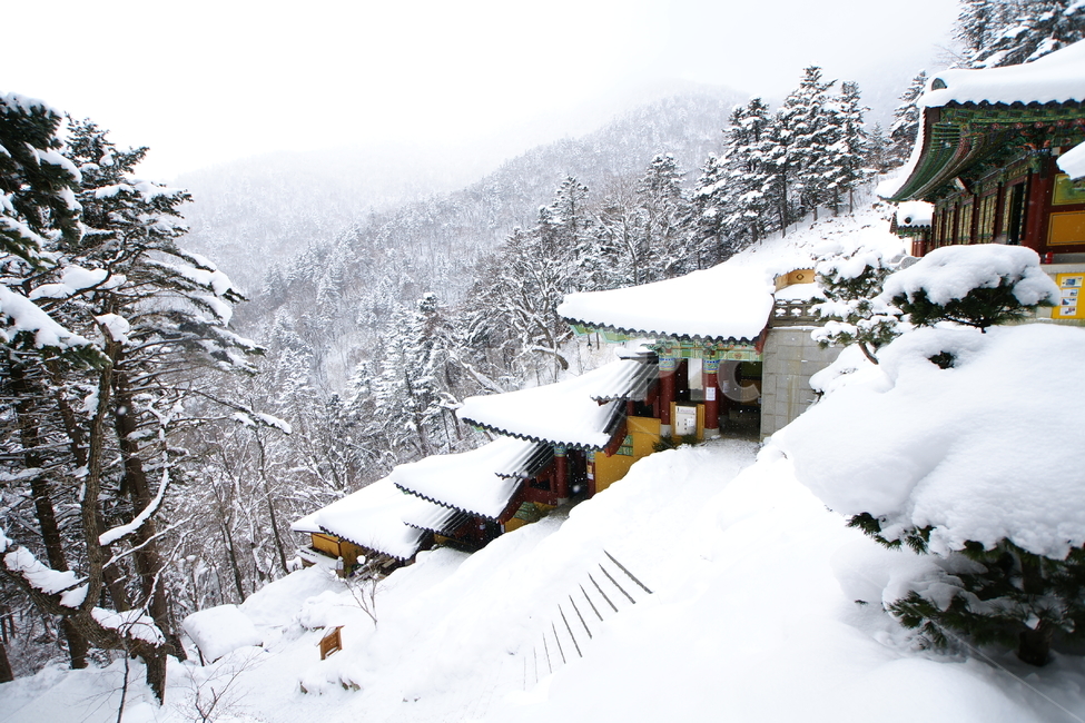 오대산,중대사자암,설경,사찰,풍경,겨울,계절,winter,season,자연,풍경,nature,landscape,한국자연풍경,한국자연경관,korea nature landscape,한국전통,한국문화,korean traditional,korean culture,건축물,건물외관,exterior,building,structure,architecture,construction,outdoors,옥외,tree,나무,plant,식물,snow,눈,abies,아비,fir,전나무