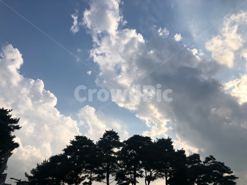 nature,자연,outdoors,옥외,sky,하늘,빛,구름