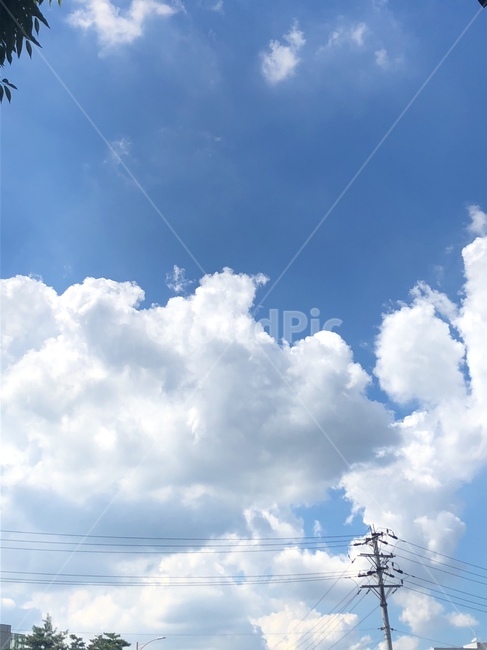 구름,파란하늘,여름하늘,cloud,clear,화창한