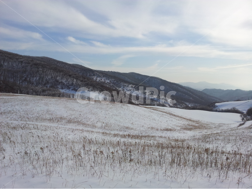 오대산,설경,눈,겨울,상고대,국립공원,자연,겨울,계절,winter,season,자연,풍경,nature,landscape,한국자연풍경,한국자연경관,korea nature landscape,outdoors,옥외,plateau,고원