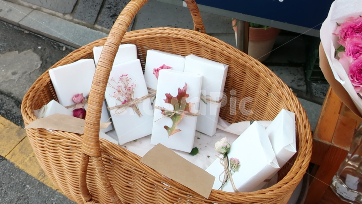 basket,바구니,낙엽,잎,나무,leaf,plant,tree,식물