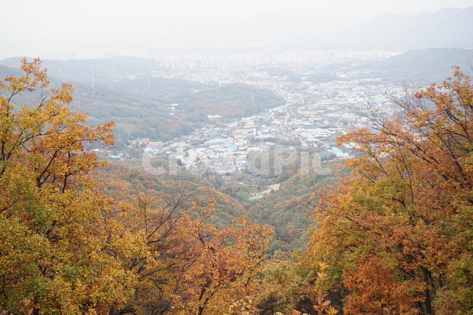가을산,단풍,낙엽,나무,가을,남한산성,산성,가을,계절,fall,autumn,season,자연,풍경,nature,landscape,scenery,outdoors,옥외,경치,tree,plant,식물