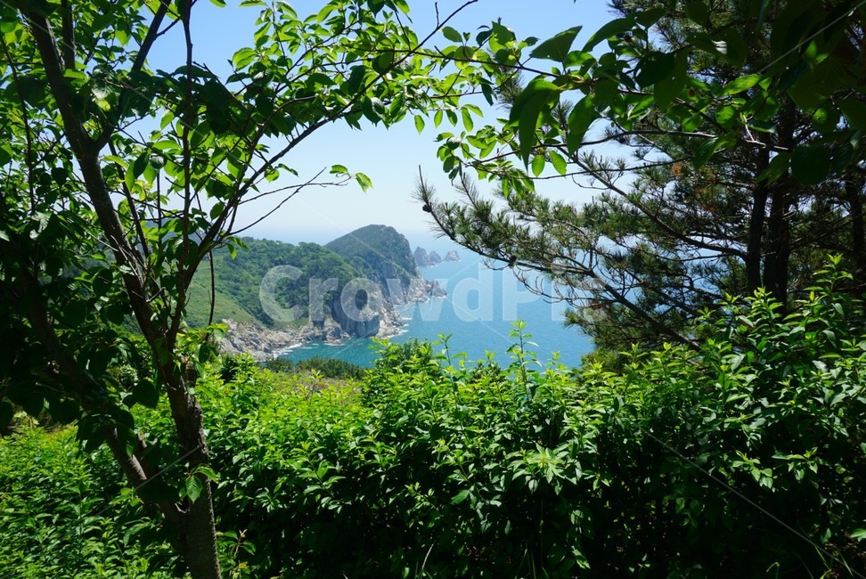 통영,연화도,자연,나무,섬,녹음,초록색,산,바다,하늘,절경,푸른색,신비로움