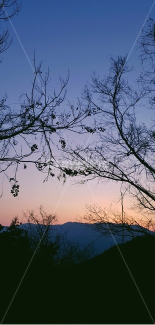 노을,나무,풍경,산,해질녘,nature,황혼,sky,sunset,일몰,자연,하늘,landscape,outdoors