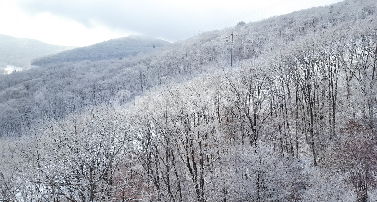 하늘,눈,겨울,눈꽃,나무,산,등산,겨울,계절,winter,season