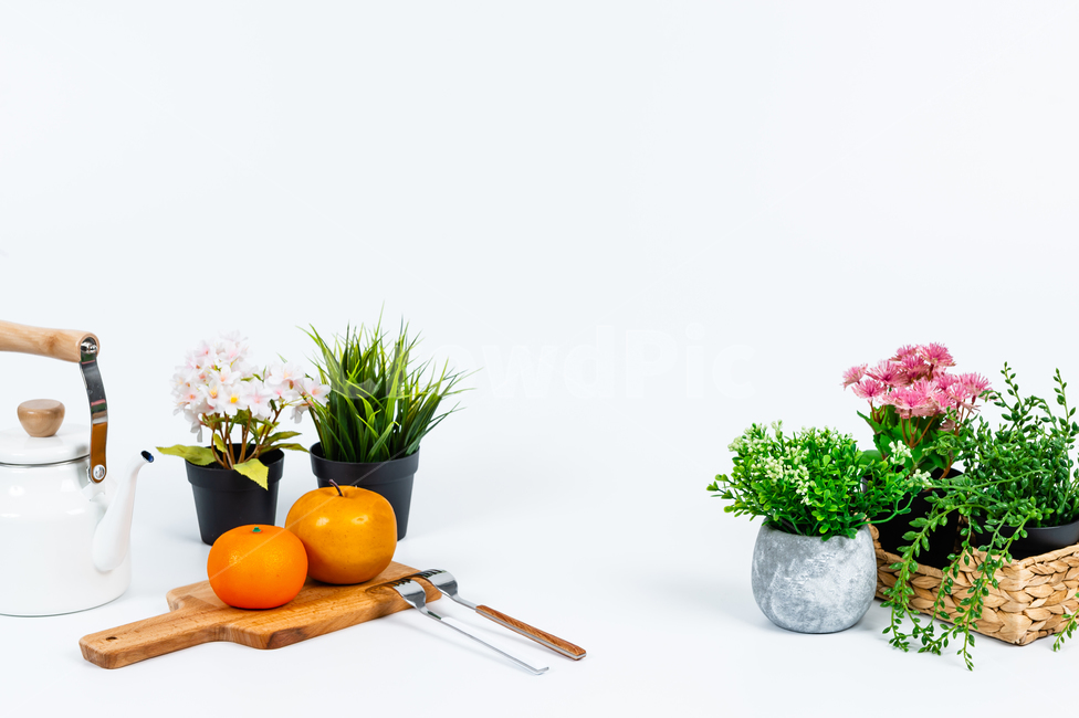 꽃,주방용품,인테리어,장식,소품,실내,화초,식물,꽃병,화분,바구니,손잡이,녹색,회색,배경,공간,카피스페이스,깨끗한,꽃잎,잎사귀,과일,오렌지,귤,배,비타민,노란색,다이어트,건강,달콤한,과즙,신선한,도마,포크,반사,검정색,분홍색,흰색,넝쿨,금속,물,나무,목재,주전자,식물,자연,plants,nature,꽃,flower,실내용화초,화분,화초,house plant,과일,열매,fruit,사물,물건,오브젝트,thing,object,matter,연출,컨셉,콘셉,direction,concept