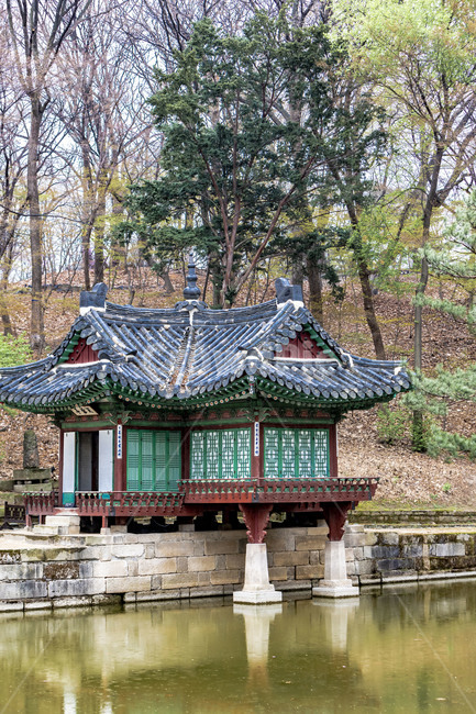 창덕궁,부용정,정자,고궁,기와,봄,연못,못,기와지붕,건축물,전통건축물,문화유산,문화재,한국전통,한국문화,korean traditional,korean culture,건축물,건물외관,exterior,building,structure,architecture,construction
