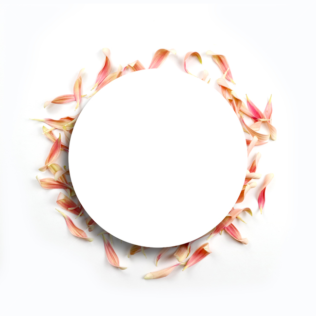꽃,프레임,백그라운드,꽃잎,배경,배경이미지,봄,계절,내츄럴,보태니컬,보태니컬프레임