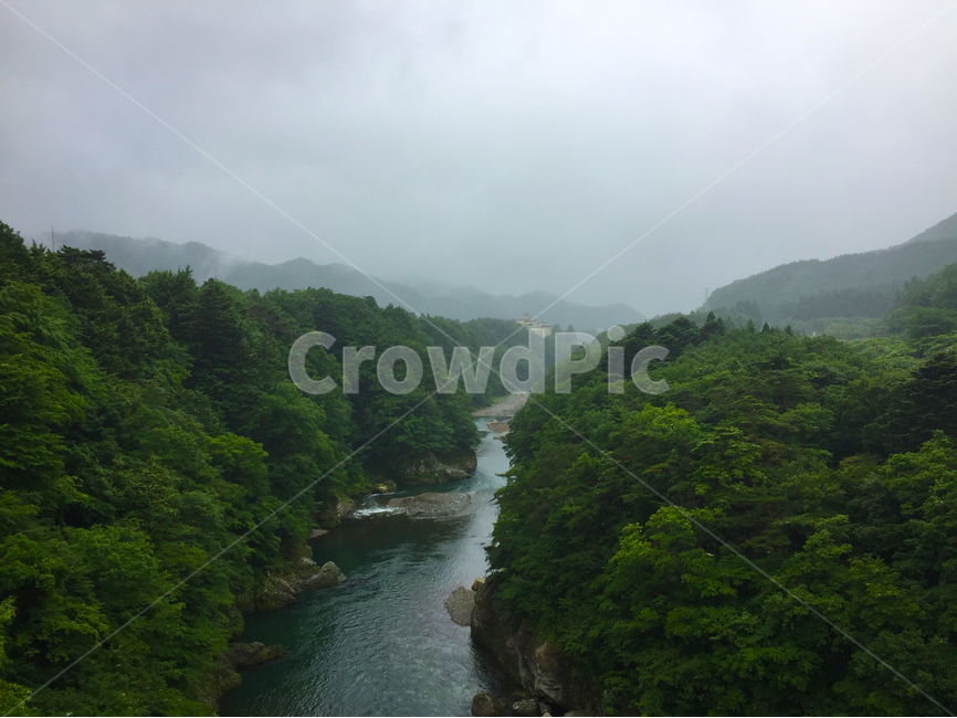 계곡,자연,안개,산,숲속,velley,nature,fog,woods,forest,자연,풍경,nature,landscape,outdoors,옥외